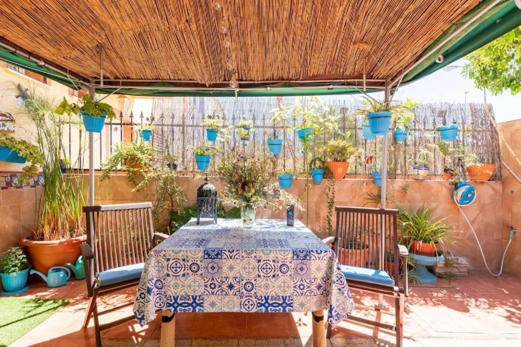 Apartamento Cool Garden 梅里那德奥拉菲 外观 照片