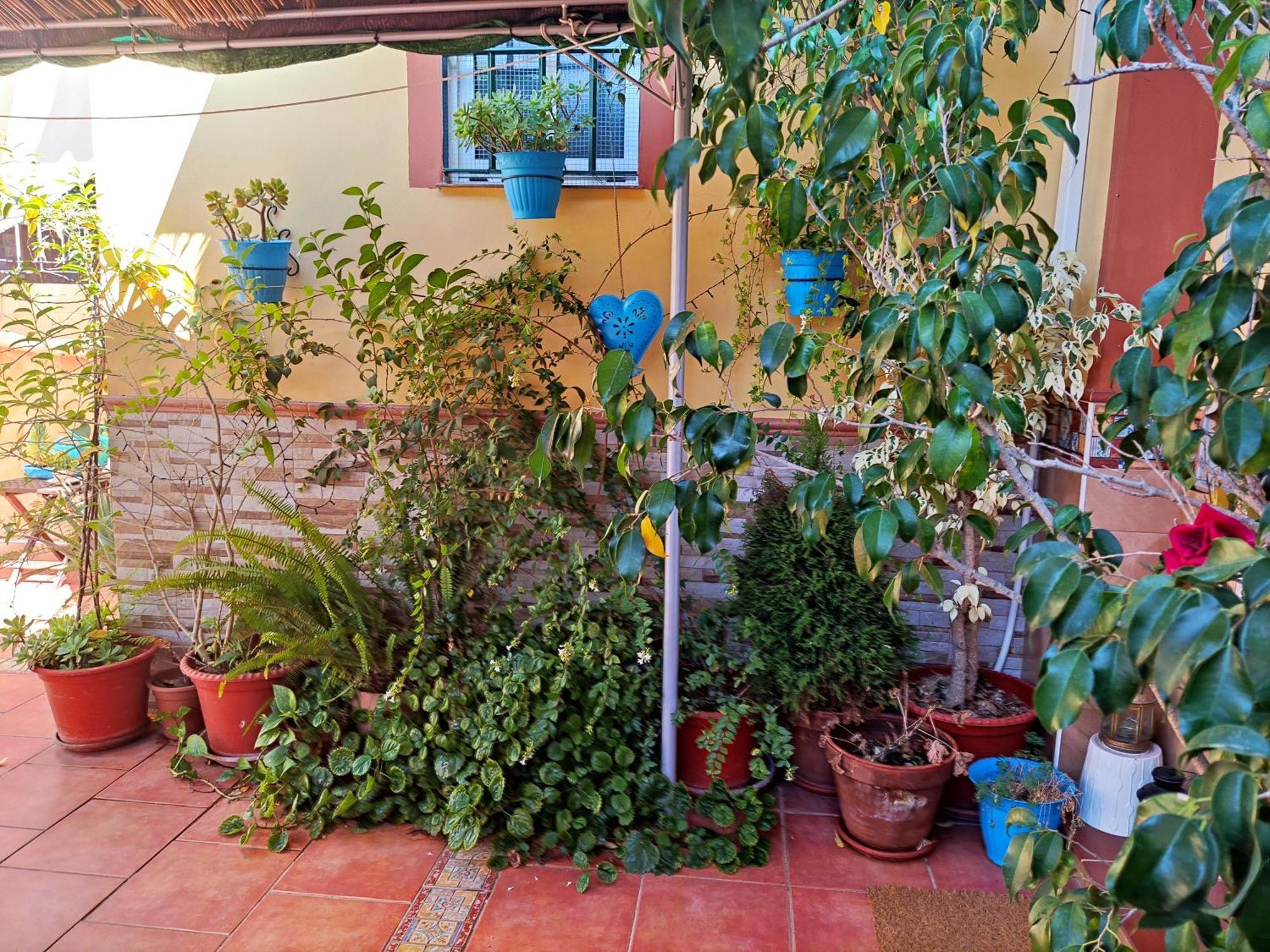Apartamento Cool Garden 梅里那德奥拉菲 外观 照片