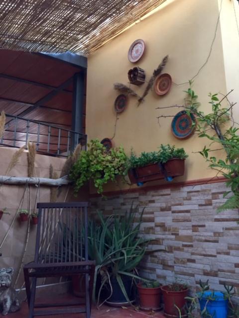 Apartamento Cool Garden 梅里那德奥拉菲 外观 照片