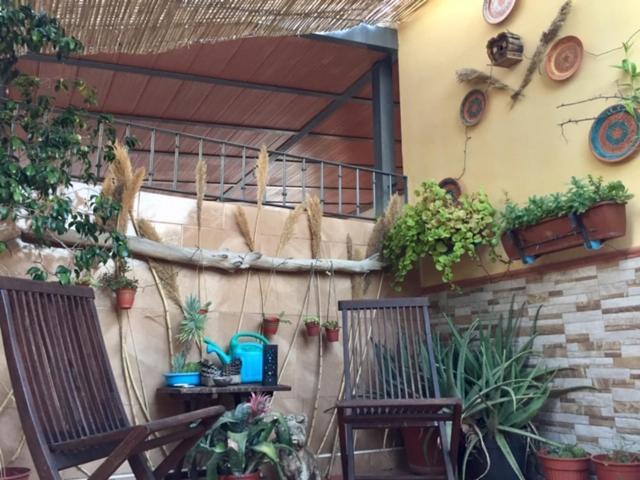 Apartamento Cool Garden 梅里那德奥拉菲 外观 照片
