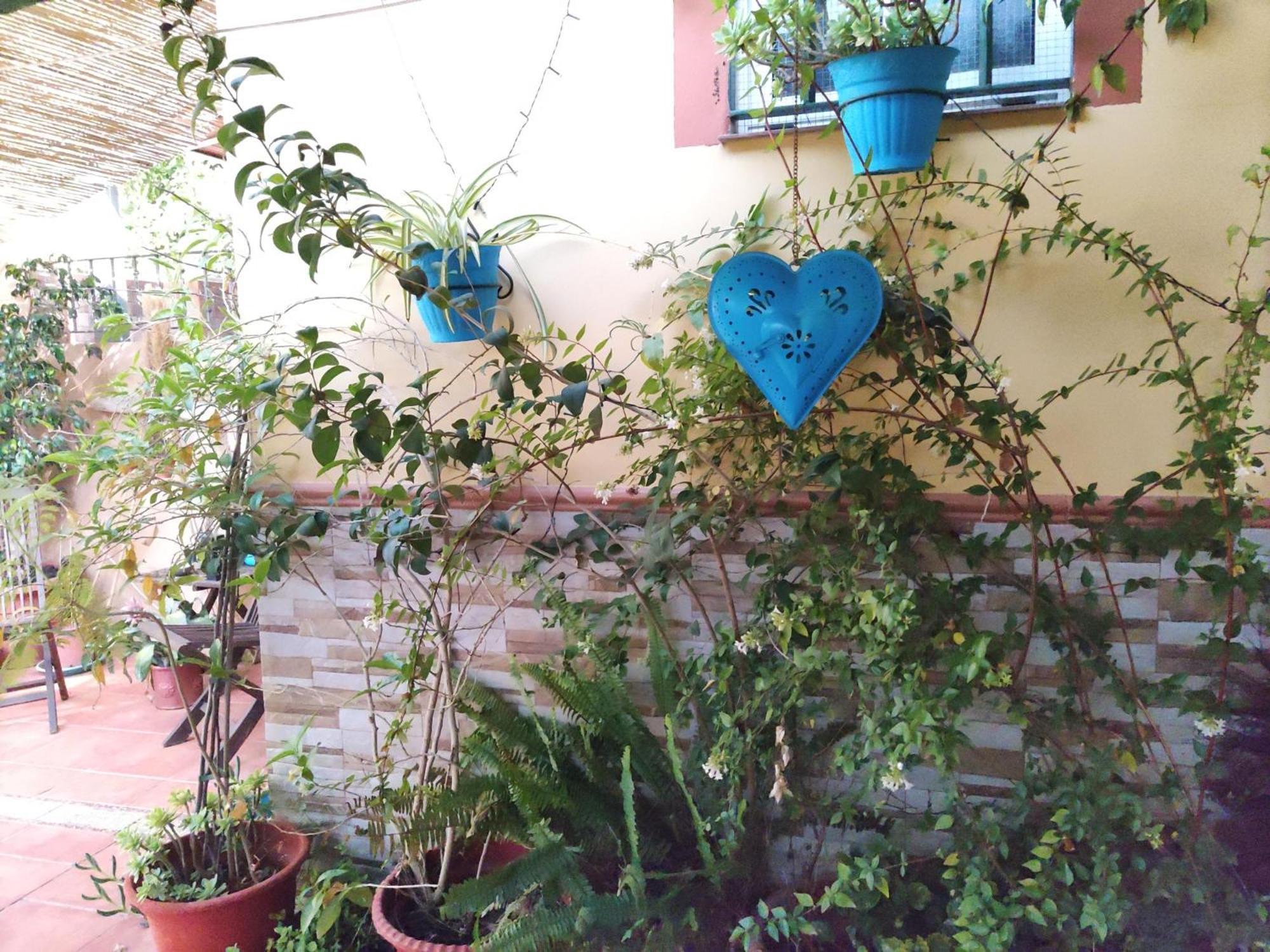 Apartamento Cool Garden 梅里那德奥拉菲 外观 照片