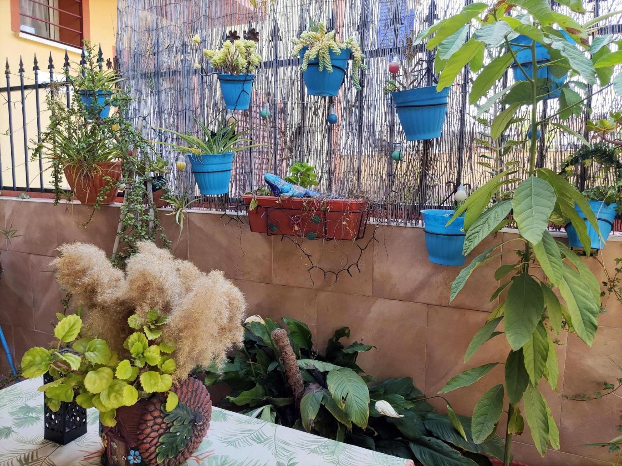 Apartamento Cool Garden 梅里那德奥拉菲 外观 照片
