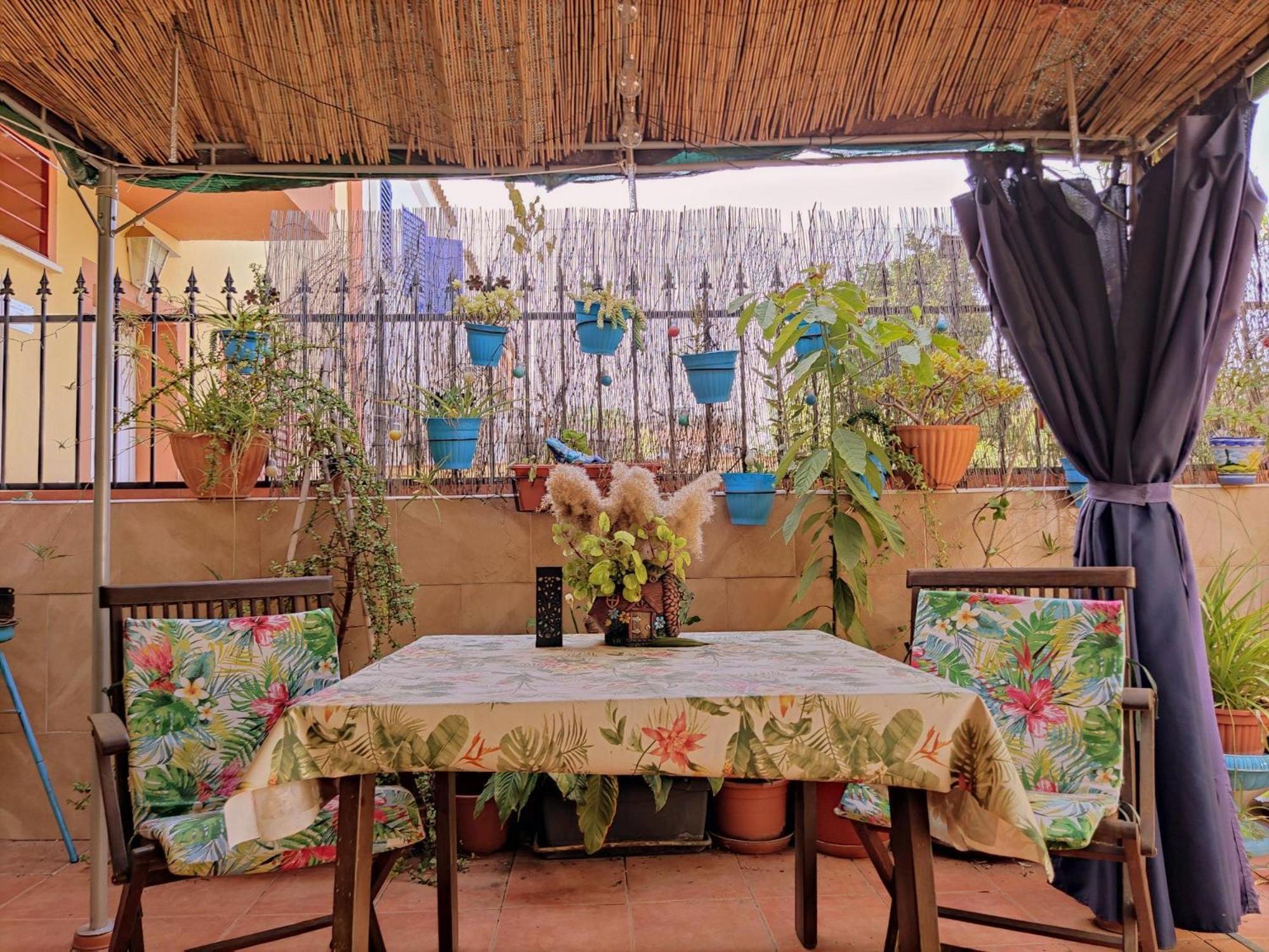 Apartamento Cool Garden 梅里那德奥拉菲 外观 照片